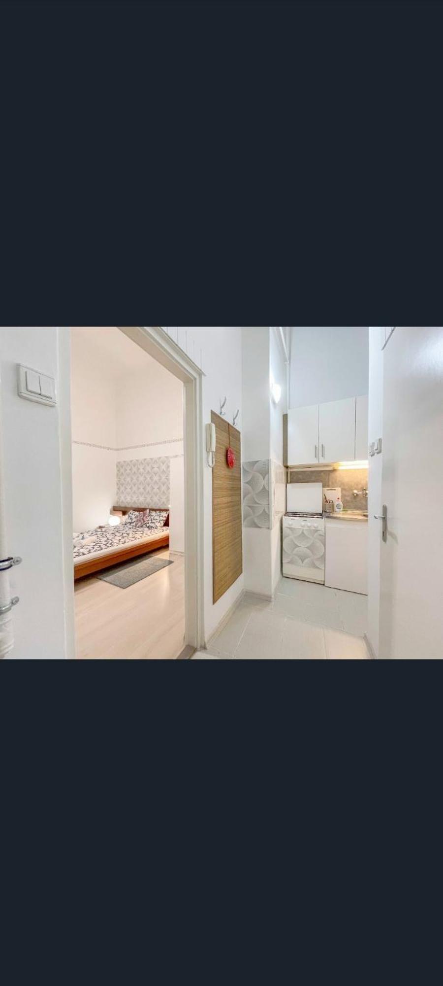 Free Parking Garage! Downtown Apartment Close To New York Cafe 布达佩斯 外观 照片